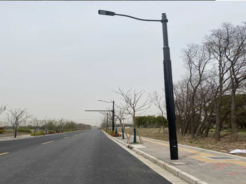 浙江上海综合杆 太阳能路灯工程